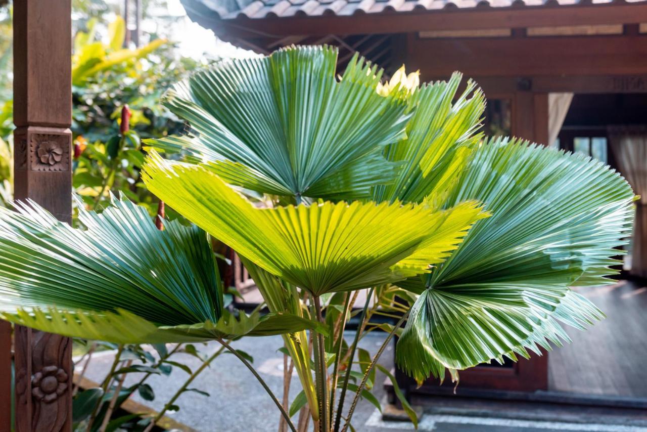 Villa Waturenggong Ubud Exterior foto